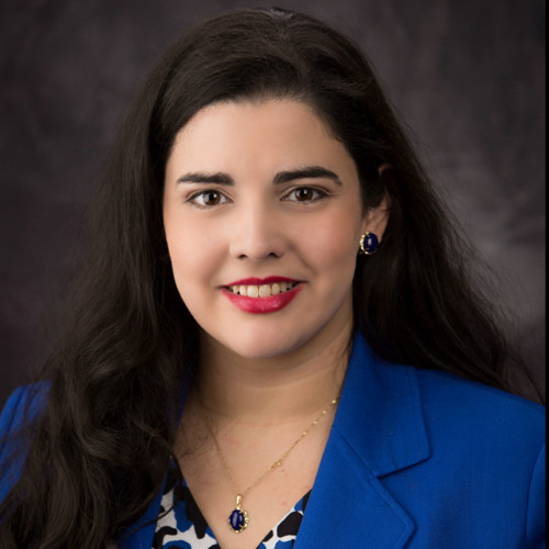Treasurer - Denise Villarreal